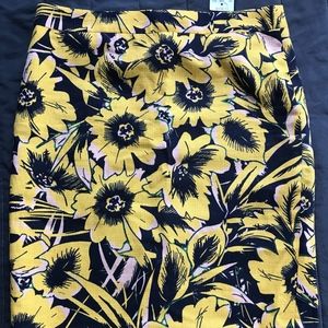 J. Crew Skirt size 0 🌻